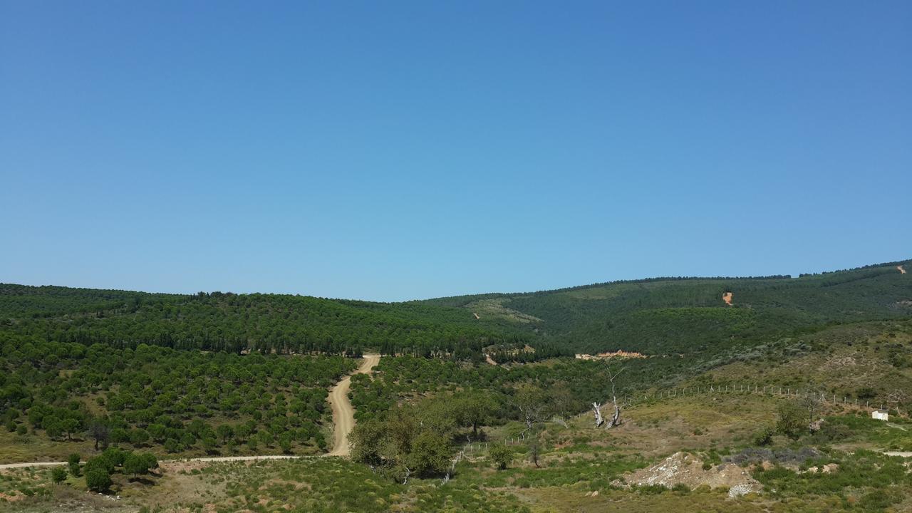 Termal Park Armutlu Exterior foto